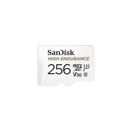 Card de Memorie MicroSDXC SanDisk, 256GB, Clasa 10, Reading speed: 100MB/s